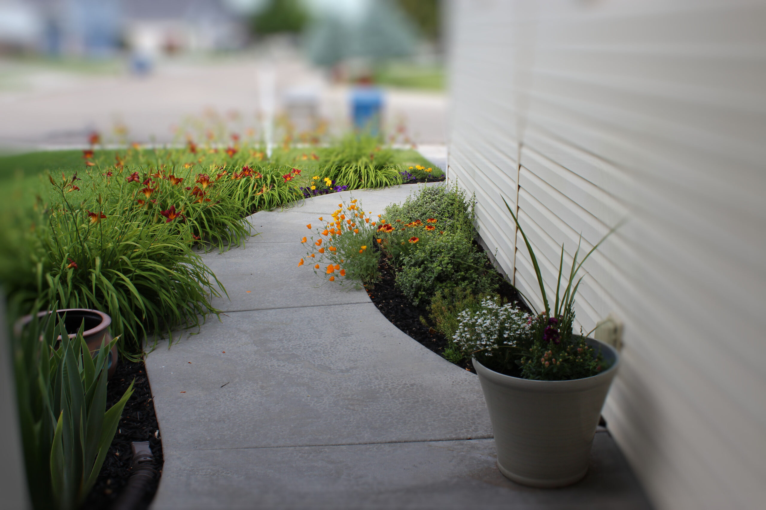 2022 Design Trends Wrapped